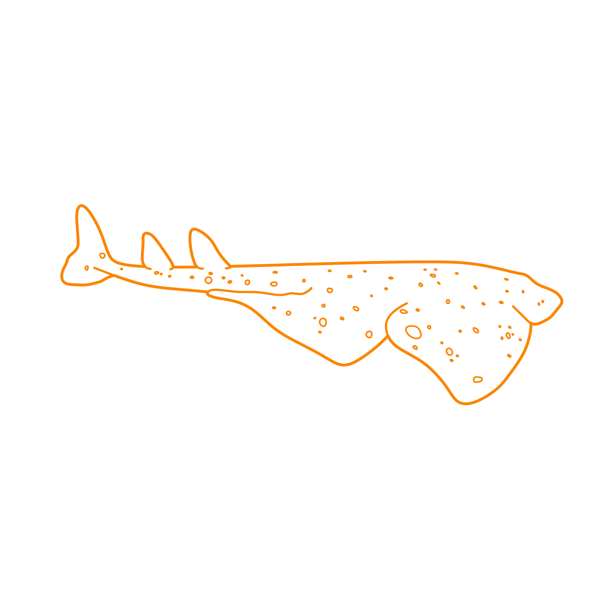 Animals Sharks Angel Shark Size Craft Design Svg File Free Vectors